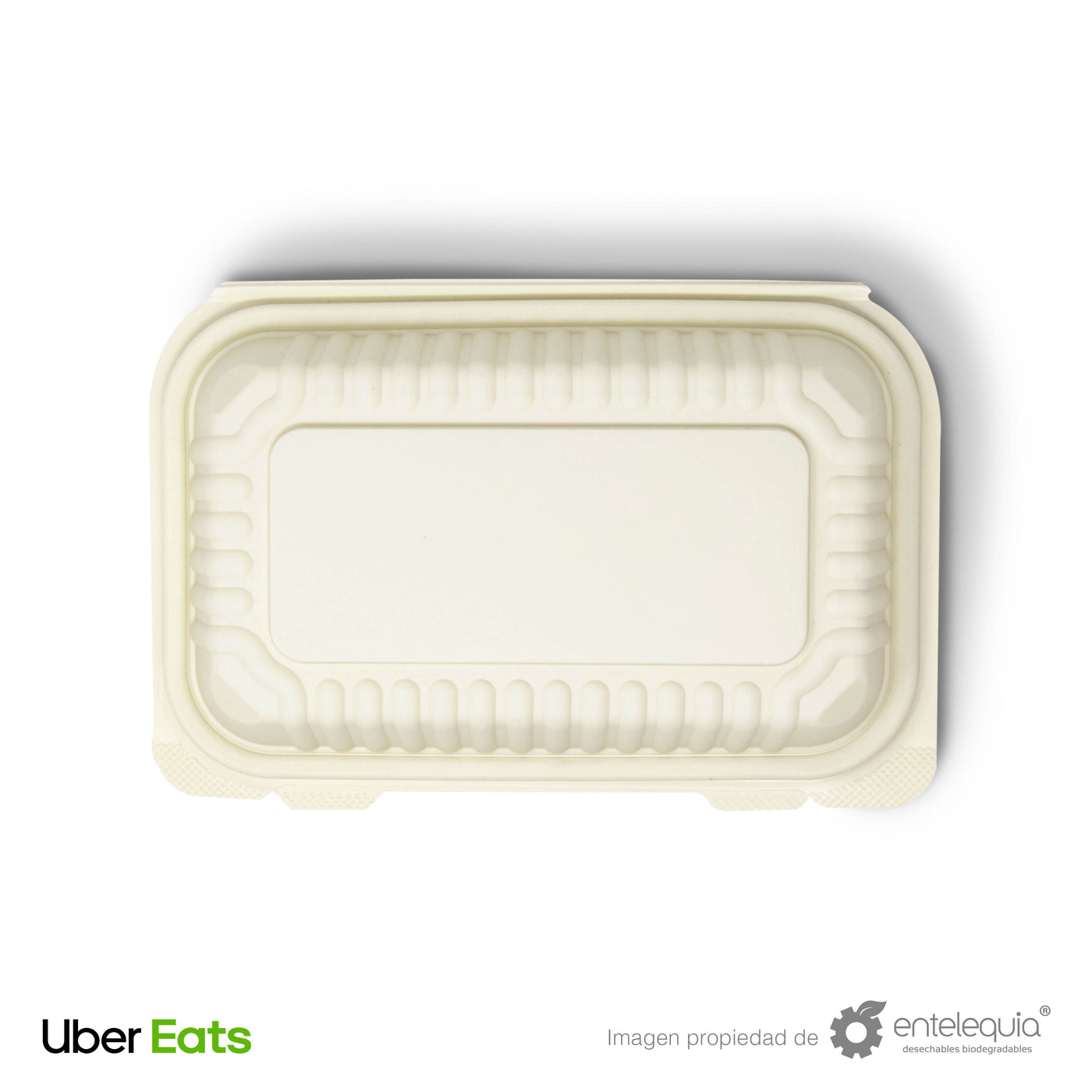 Platos Desechables Biodegradables – Entelequia® Desechables Biodegradables