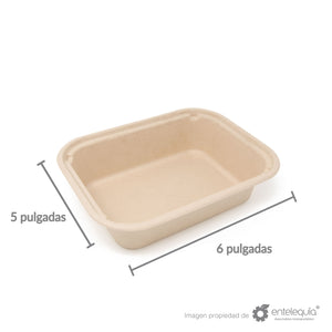 Envase Liso de Paja de Trigo EP 6X5 - Desechable Biodegradable Entelequia